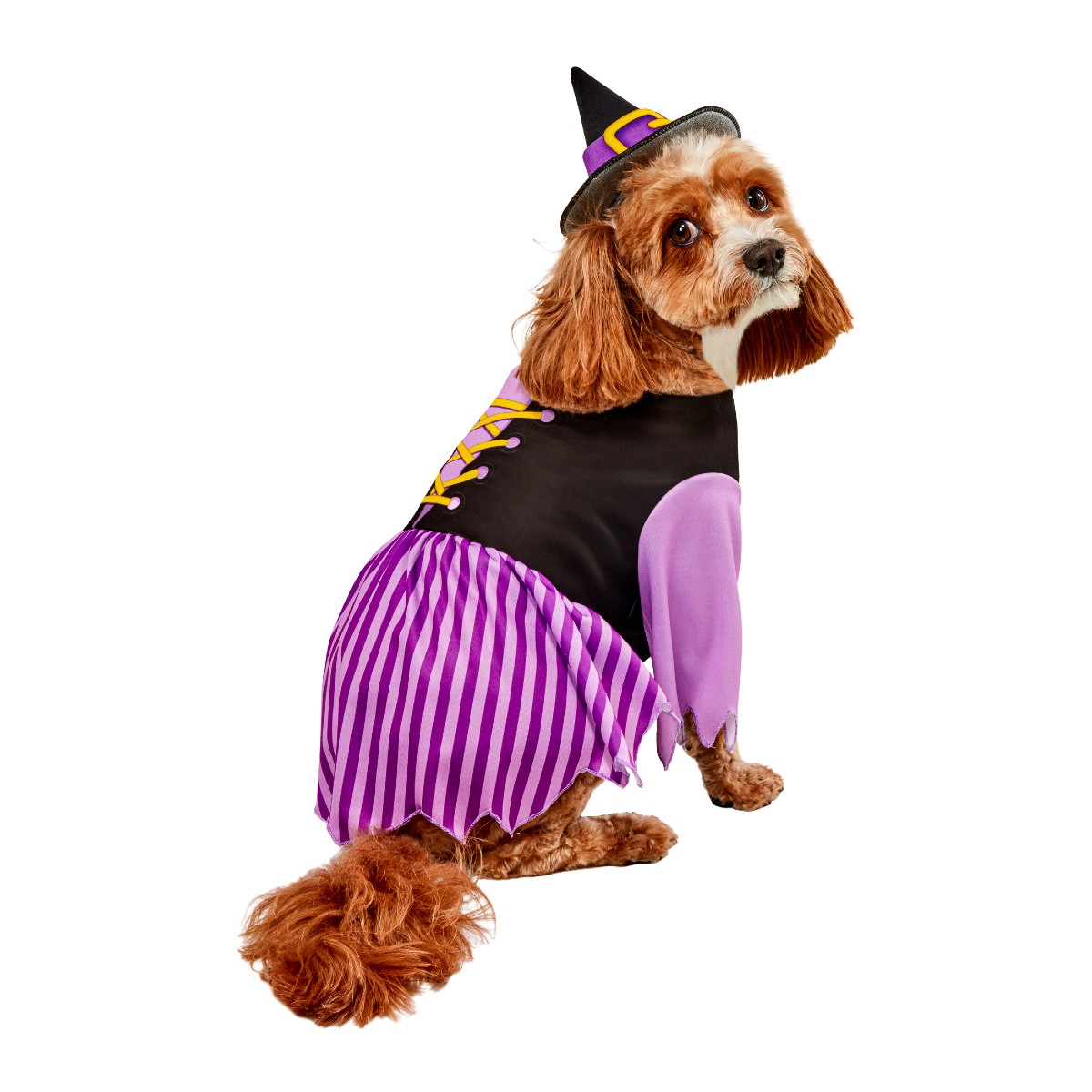 Rubies Witch Halloween Dog Costume - Purple