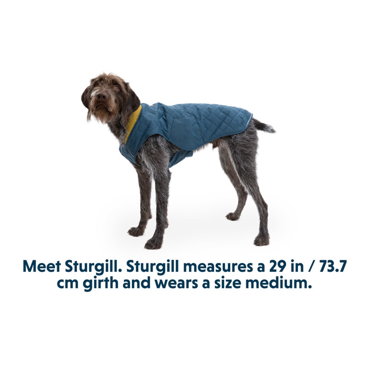 RuffWear Stumptown Dog Jacket Orion Blue BaxterBoo