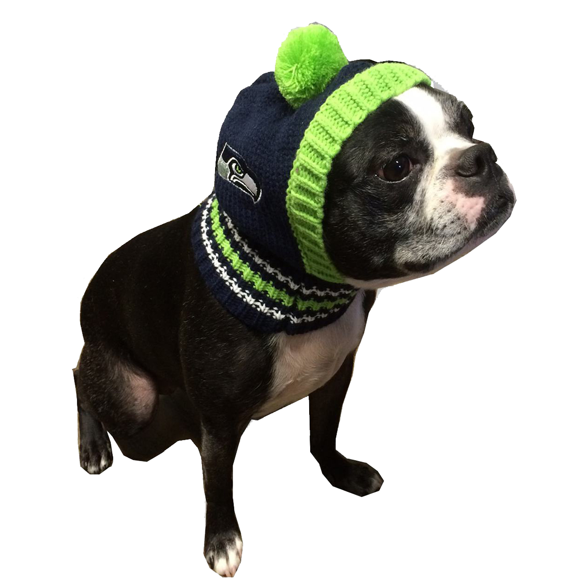 Seattle Seahawks Pet Knit Hat - Large