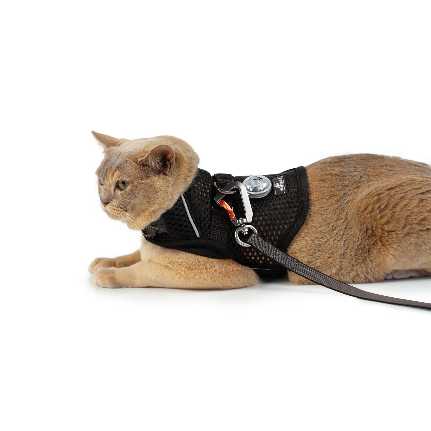 Sleepypod Martingale Mesh Calming Cat Harness - Jet Black