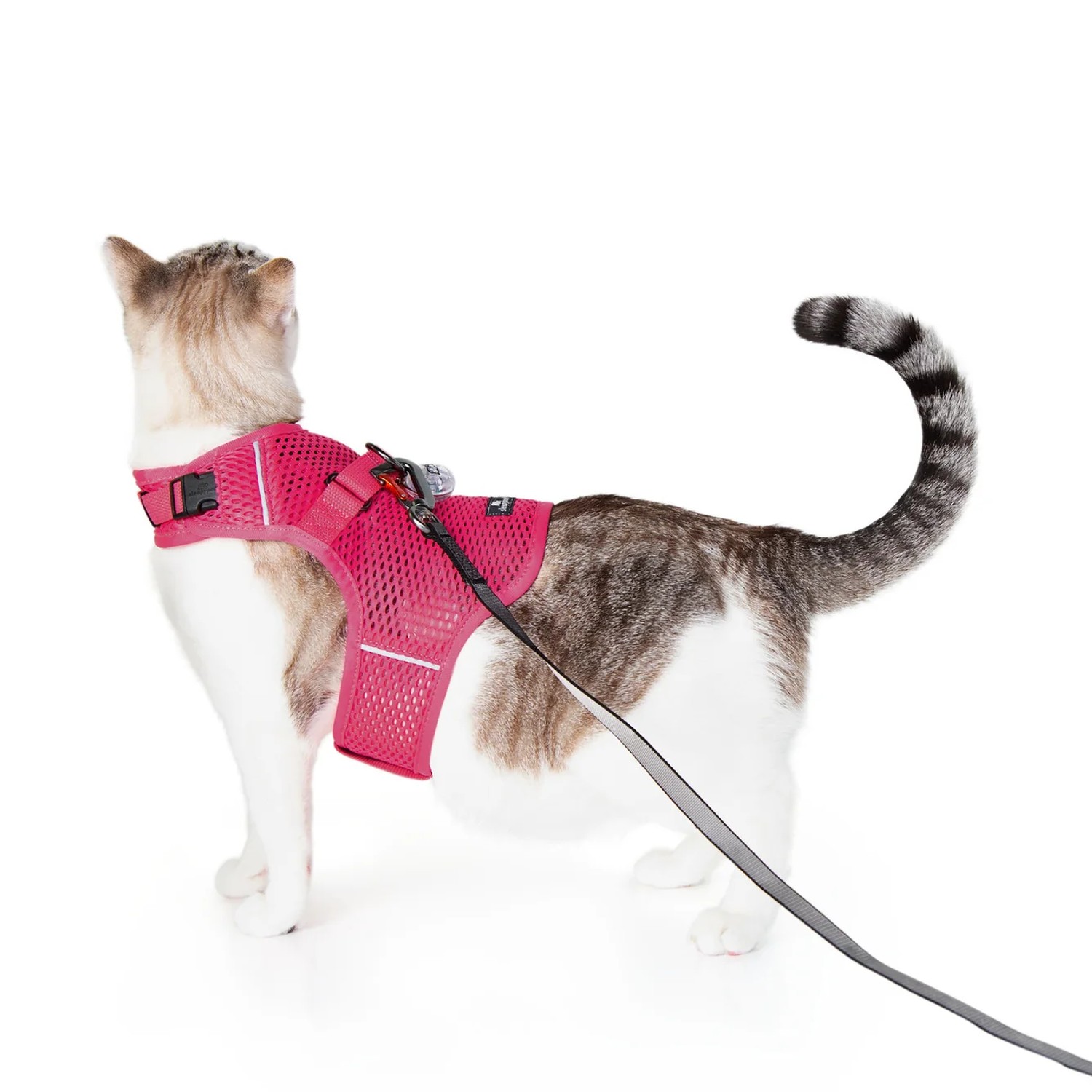 Sleepypod Martingale Mesh Calming Cat Harness - Pink Peony