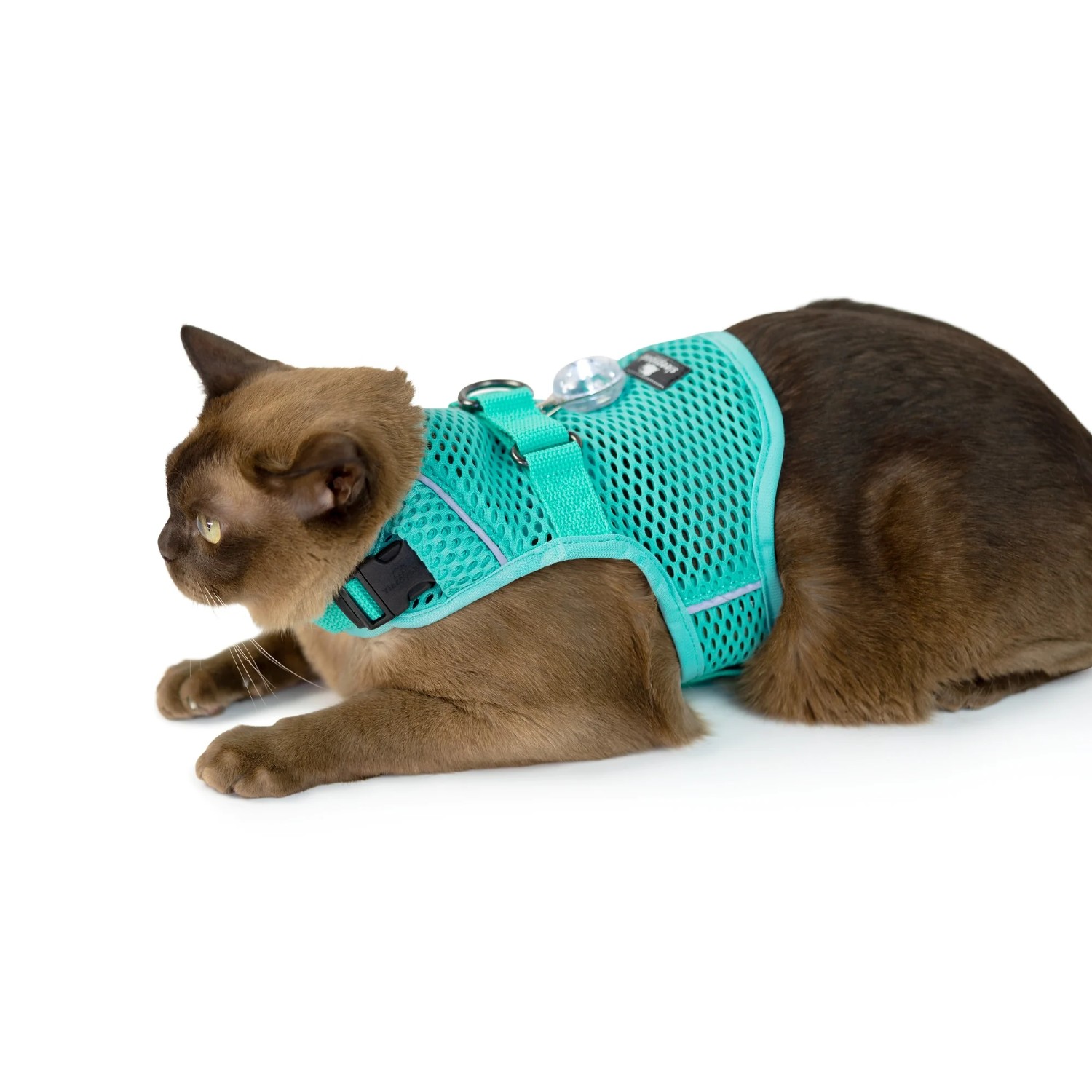 Sleepypod Martingale Mesh Calming Cat Harness - Robin Egg Blue