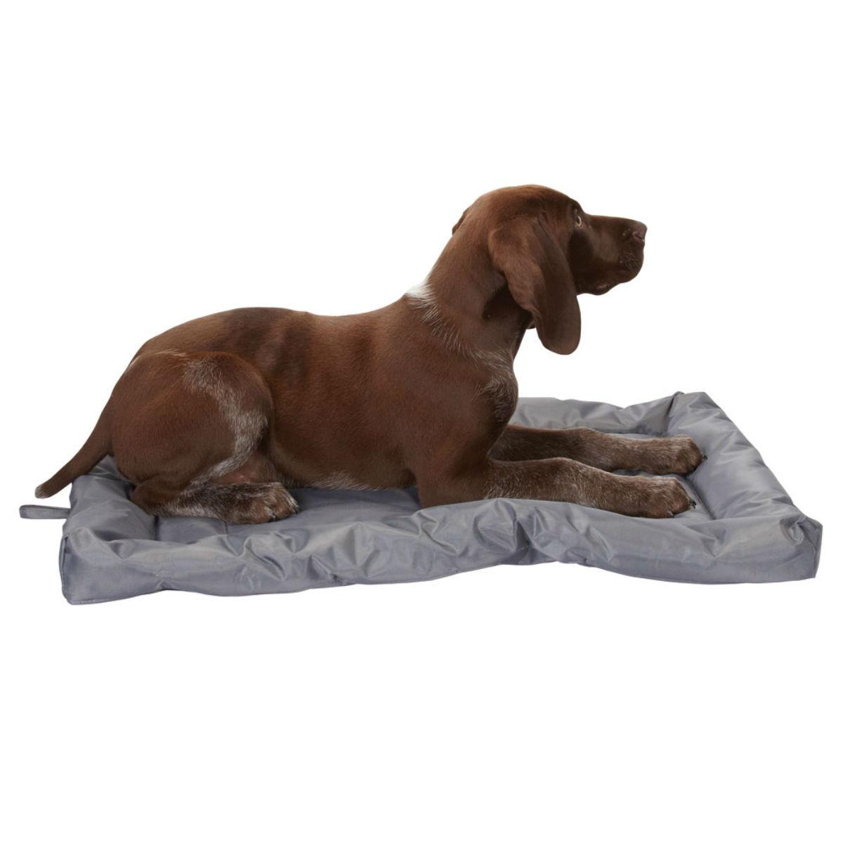 Slumber Pet Water-Resistant Dog Bed - Gray