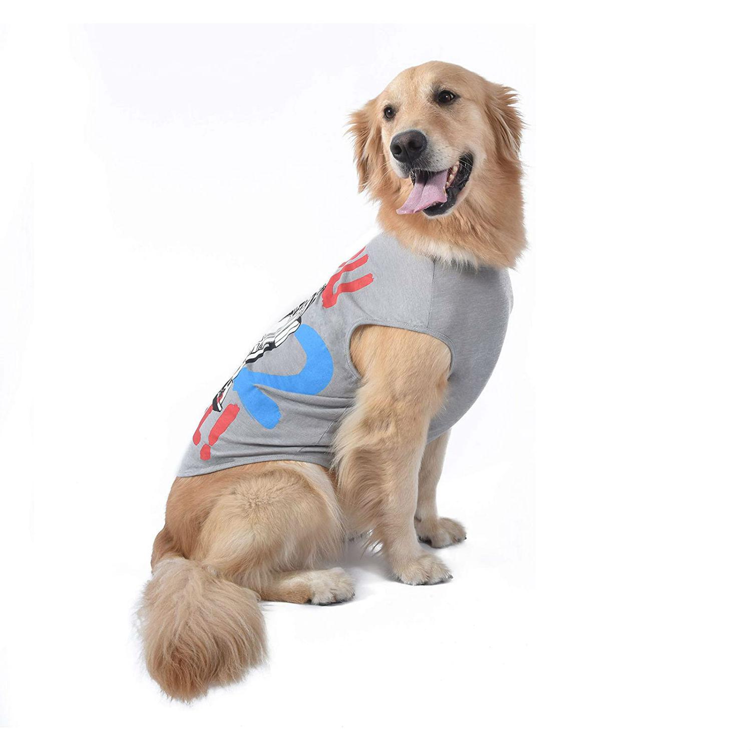 Star Wars You R2 Cool Dog Tank - Gray | BaxterBoo