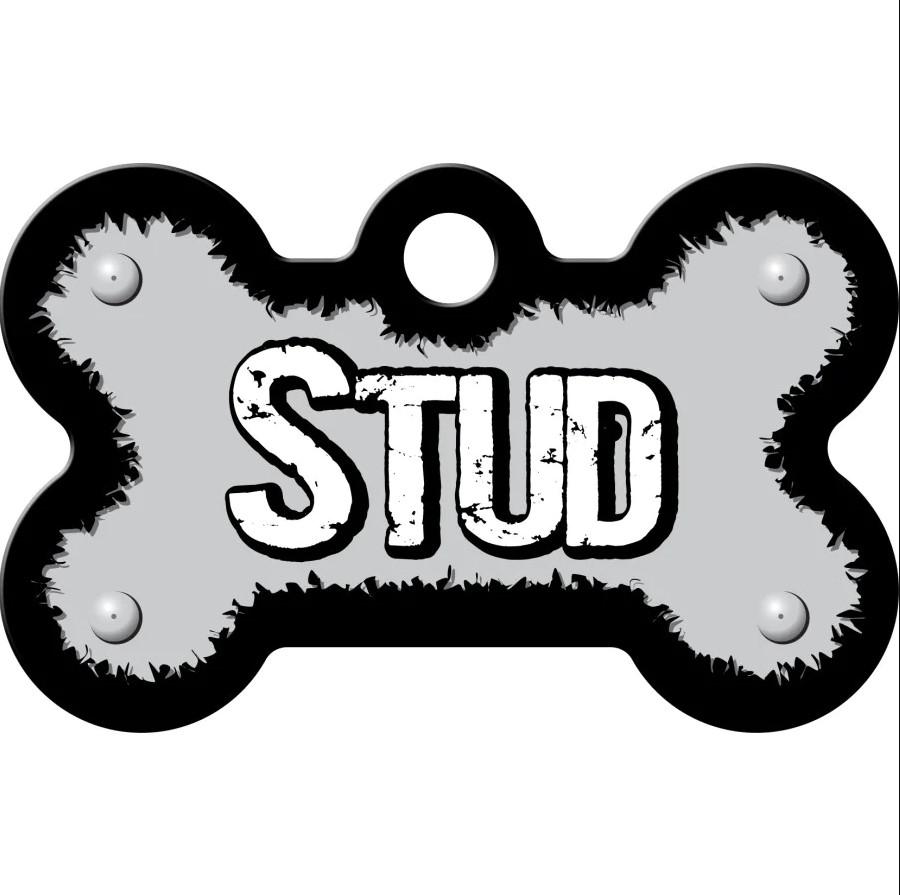 Stud Bone Small Engravable Pet I.D. Tag
