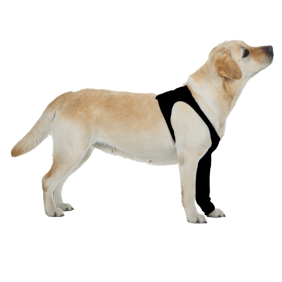 Suitical Recovery Sleeve Dog Large Black for sale online 