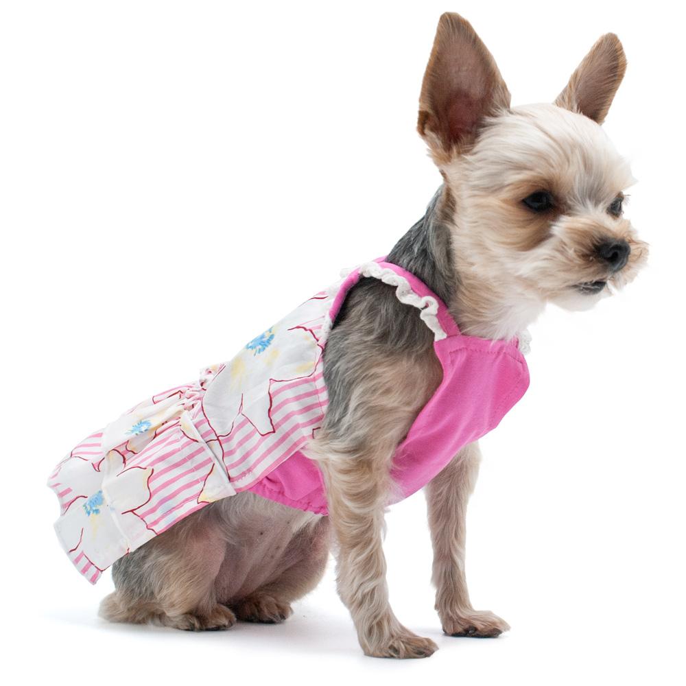 Summer Flower Dog Dress by Dogo | BaxterBoo