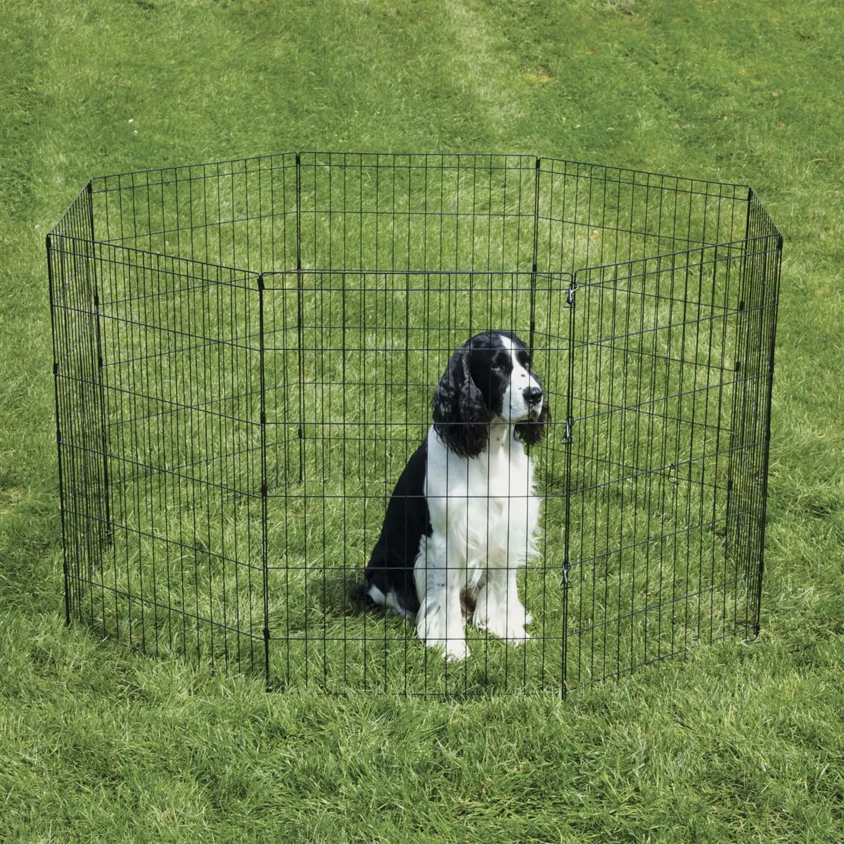 ProSelect Sure Ex Pet Pen - Black