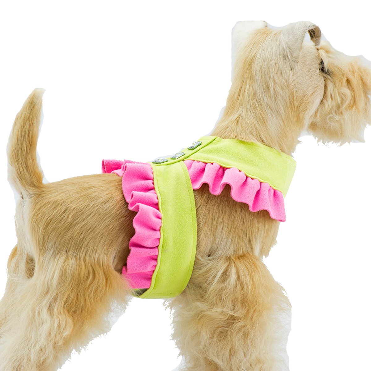 Susan Lanci Pinafore Tinkie Dog Harness - Kiwi with Pink Sapphire Ruffles