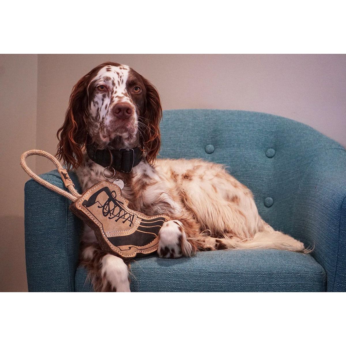 Leather and hotsell wool dog toy