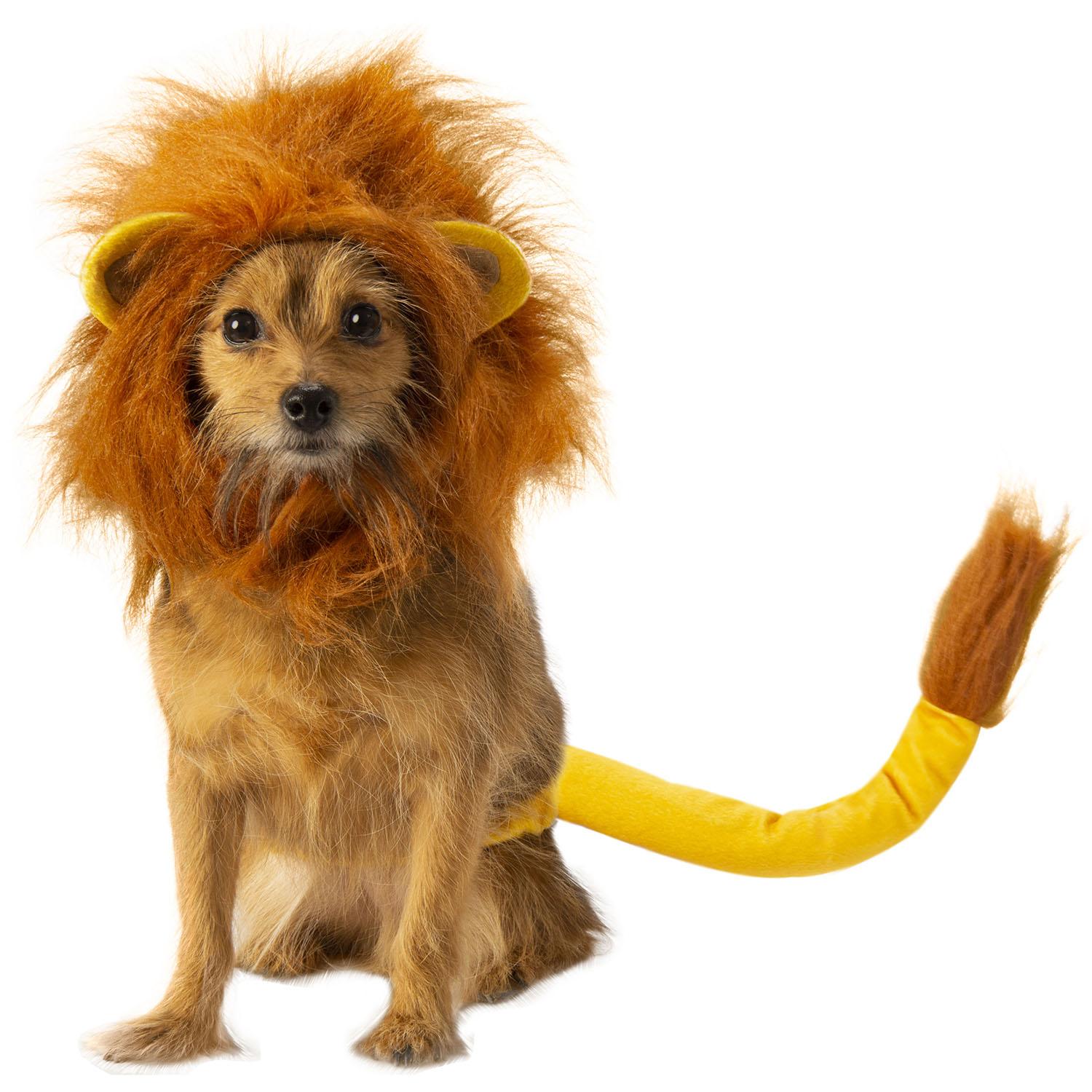 The Lion King Simba Dog Costume Accessory Set