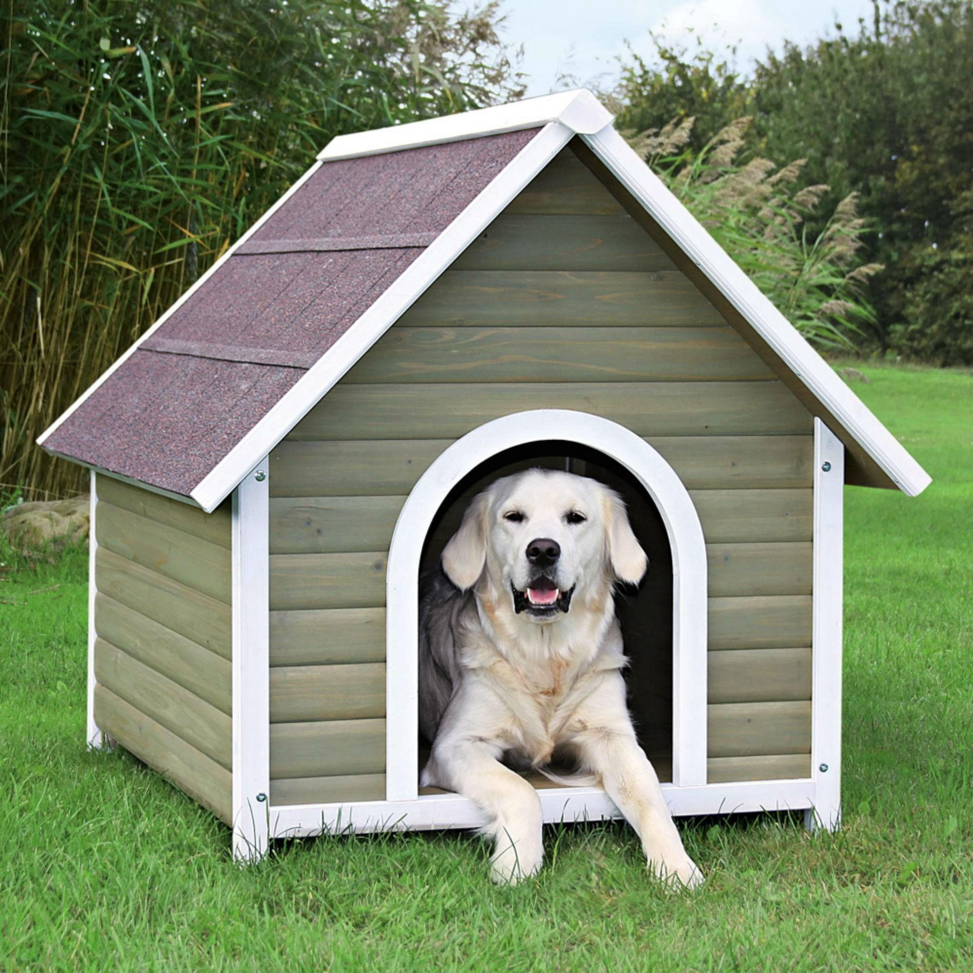 New dog house. Конура для алабая. Собачья конура будка. Собачья конура своими. Будка для алабая.