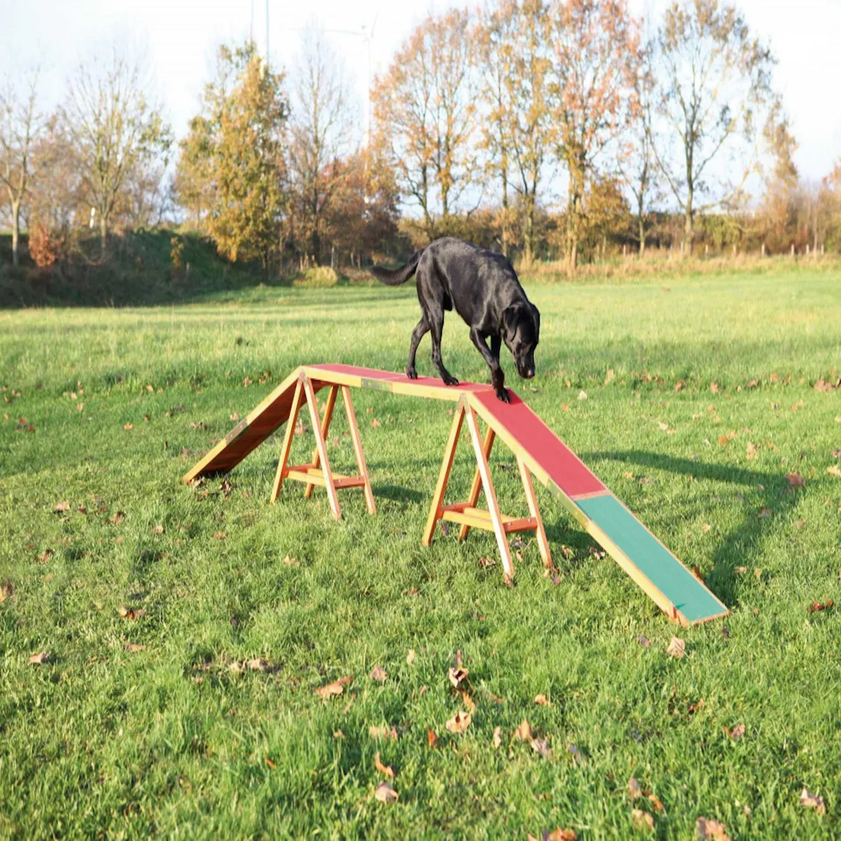 Trixie Agility Dogwalk