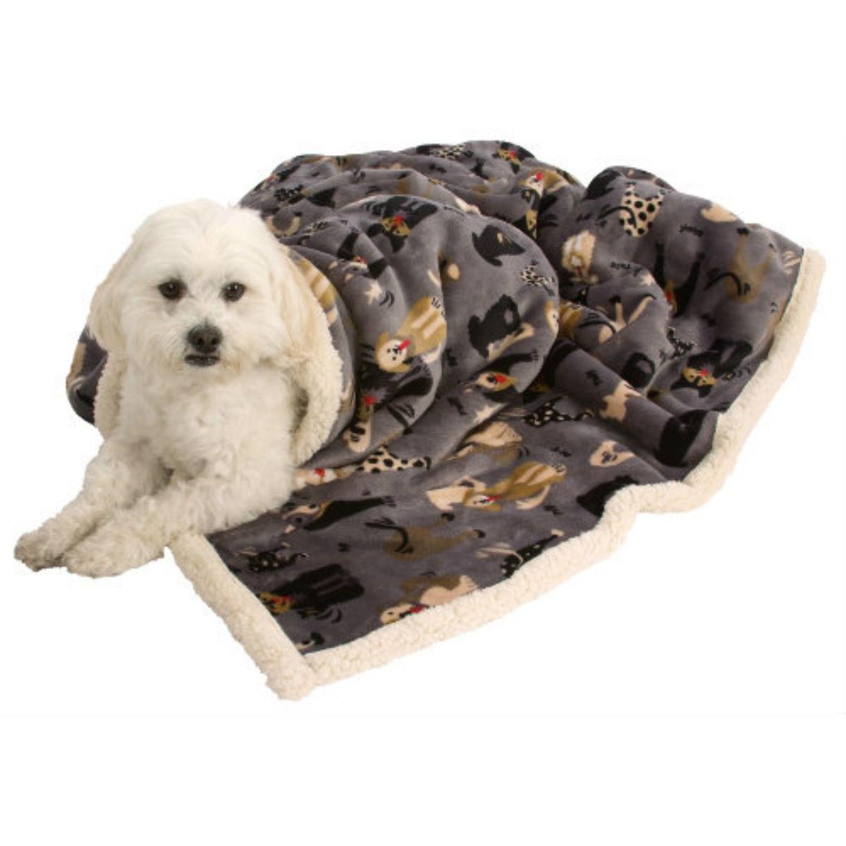 Ultra Paws My Blankie Likkers Pet Blanket - G... | BaxterBoo