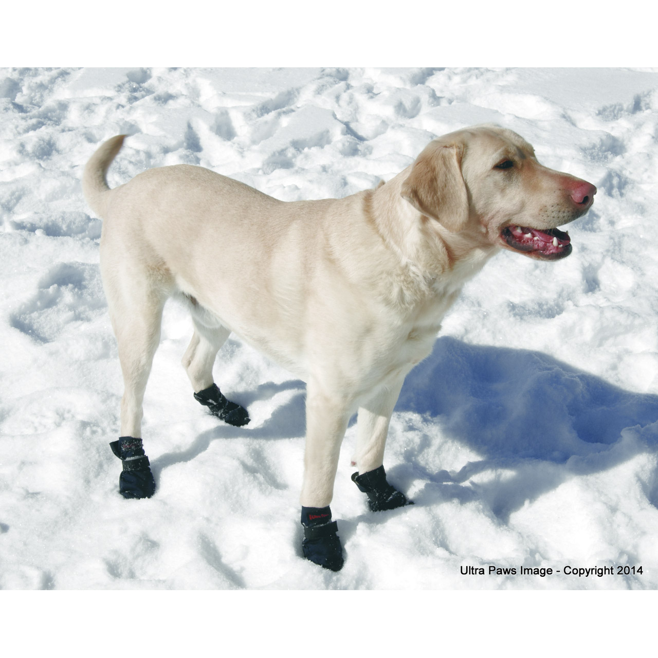Ultra Paws Snow Dog Boots Water weather Ice Resistant All Sizes 