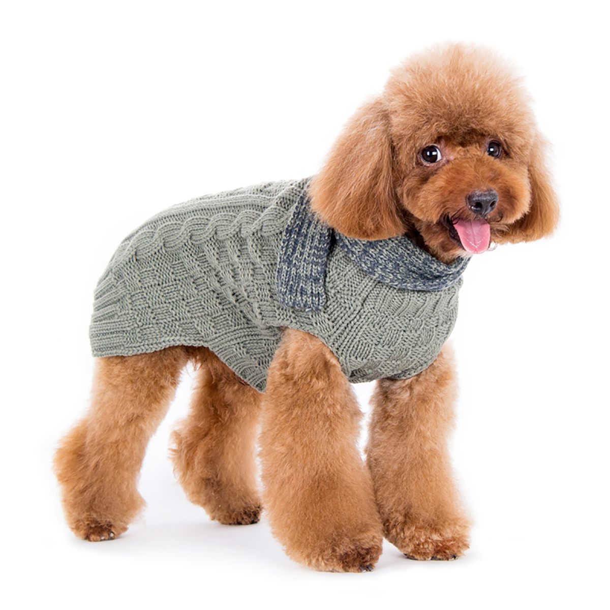 Urban Cable Scarf Dog Sweater by Dogo - Gray | BaxterBoo