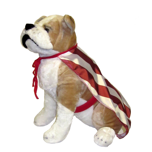 Rasta Imposta USA Flag Cape Pet Costume 