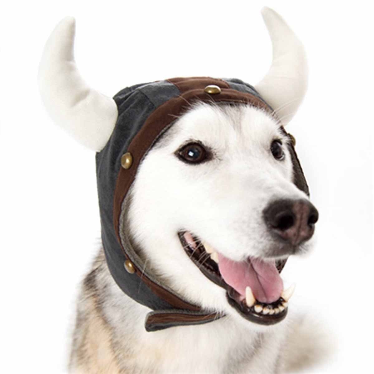 Viking Helmet Dog Hat by Dogo | BaxterBoo