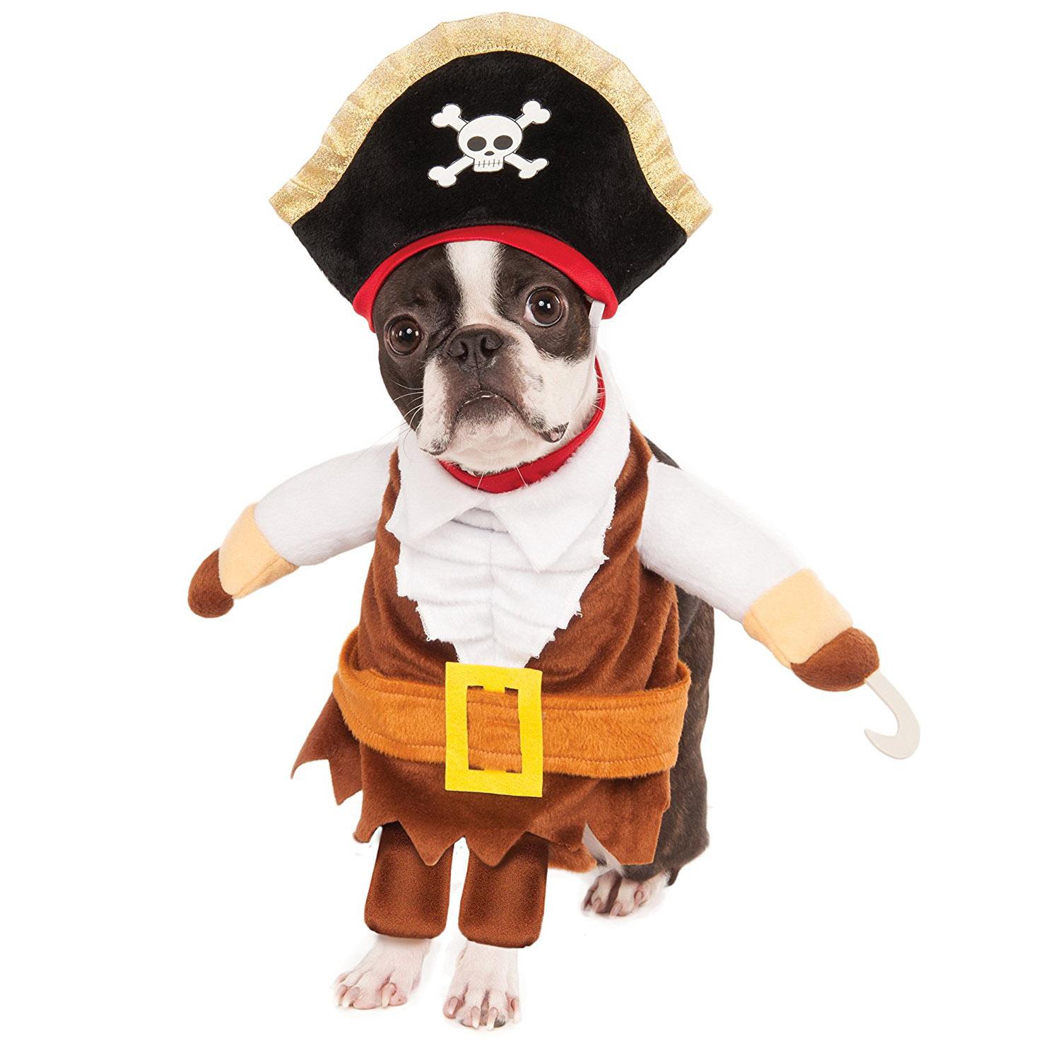 Walking Pirate Halloween Dog Costume