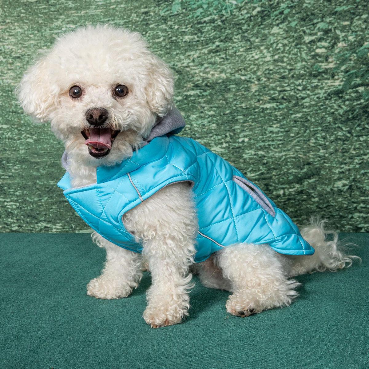 Doggie Design Weekender Dog Sweatshirt Hoodie - Light Blue(x-large