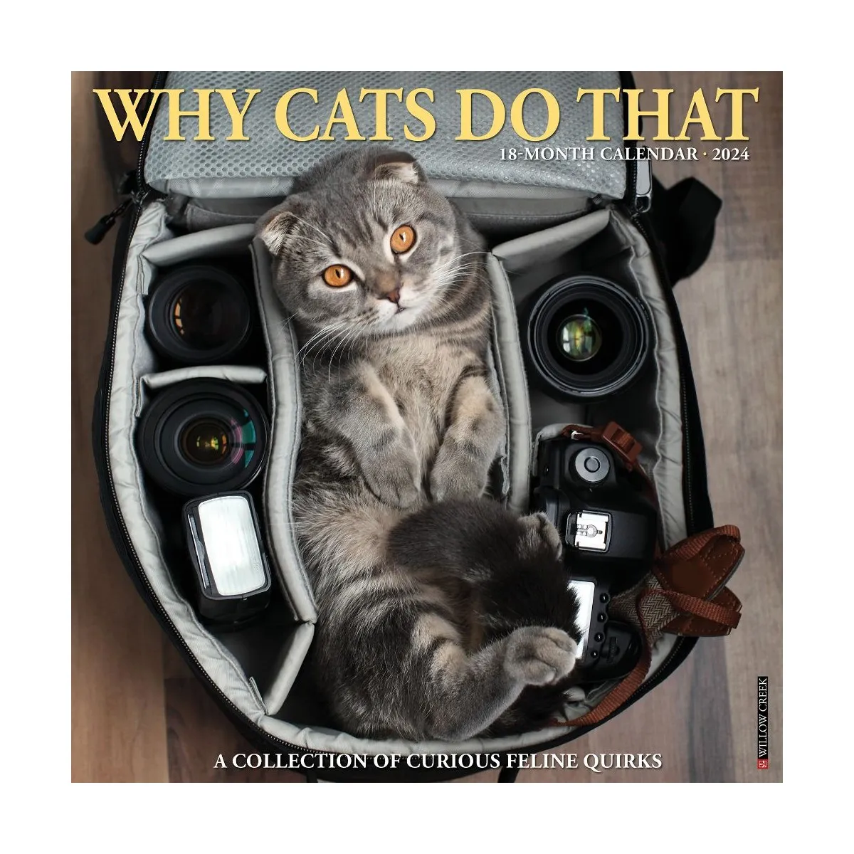 Why Cats Do That 2024 Wall Calendar