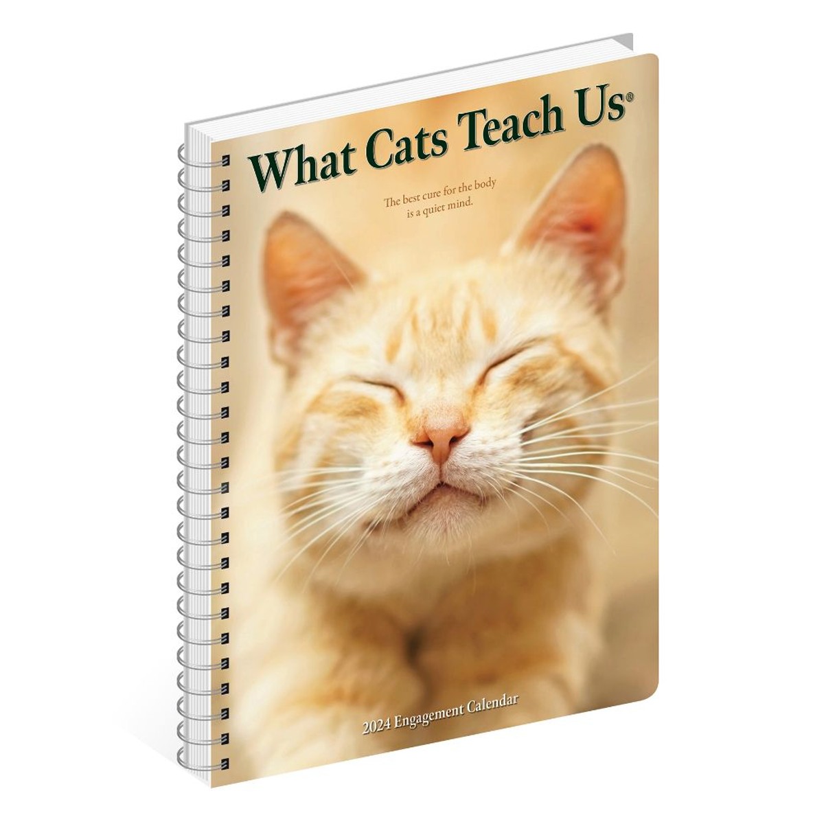 What Cats Teach Us 2024 Spiral Weekly Calendar