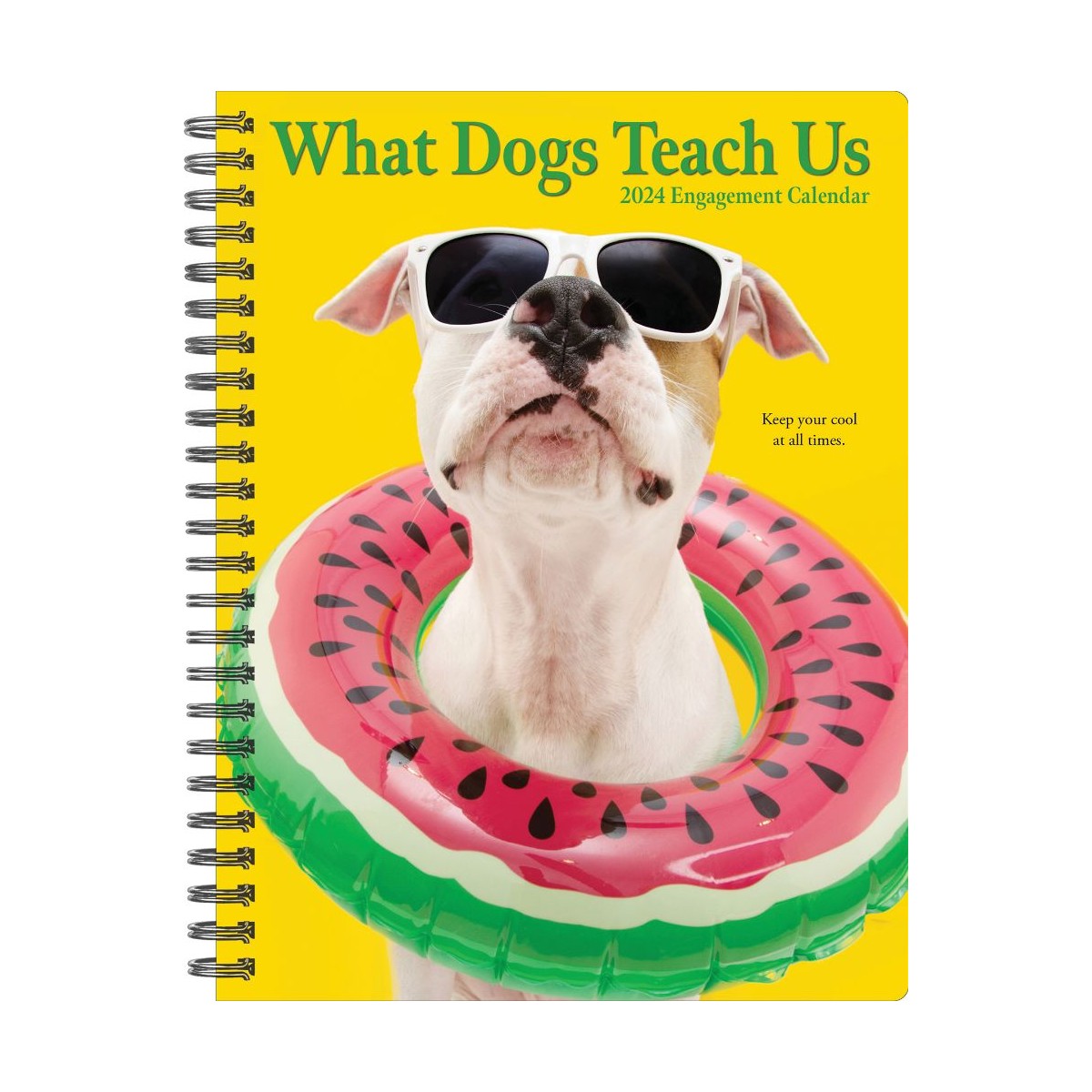 What Dogs Teach Us 2024 Spiral Weekly Calenda... BaxterBoo