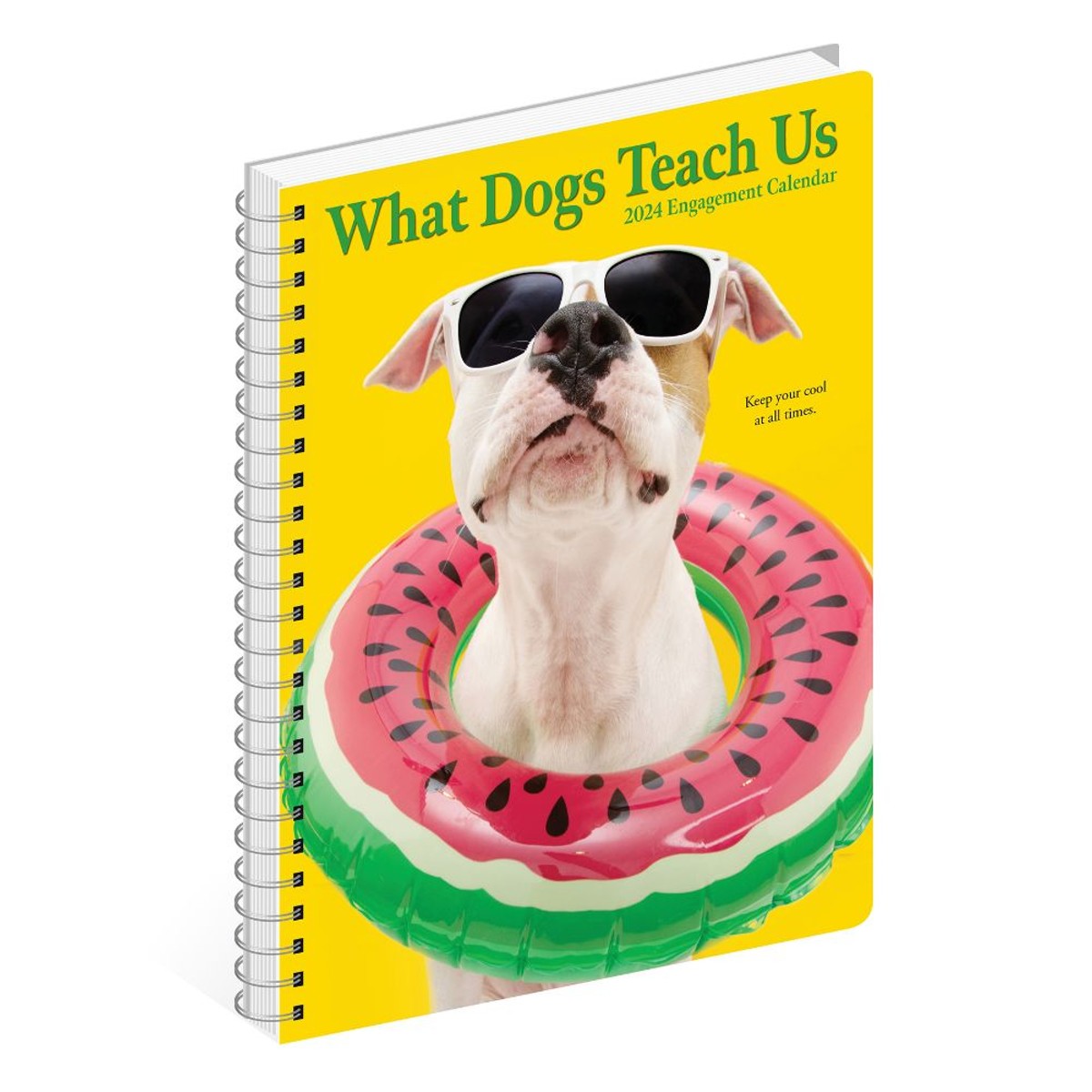 What Dogs Teach Us 2024 Spiral Weekly Calendar