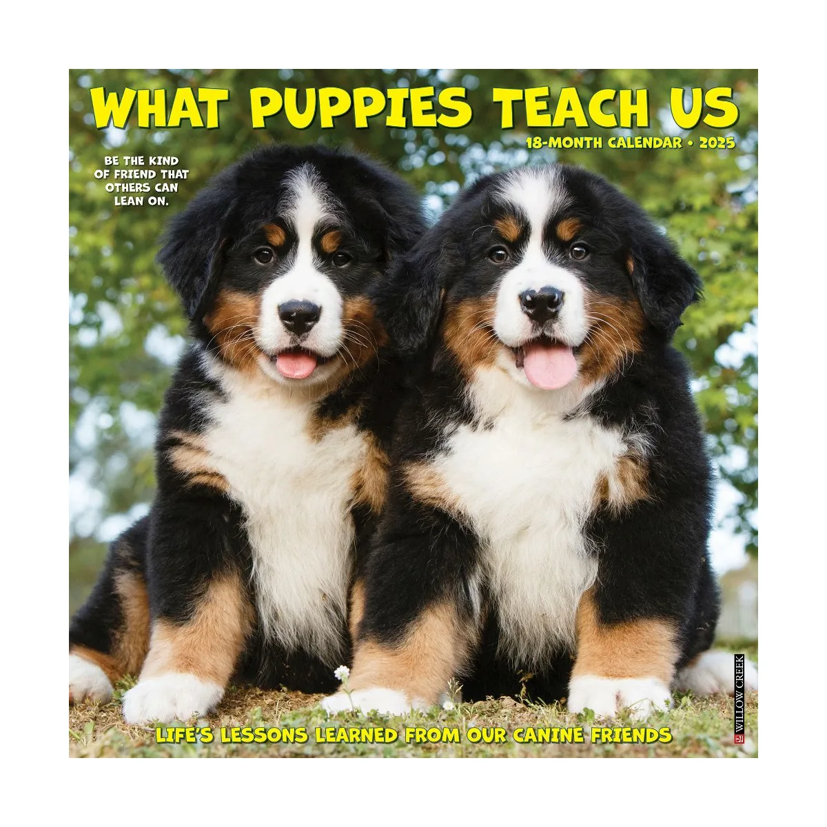 What Puppies Teach Us 2025 Wall Calendar