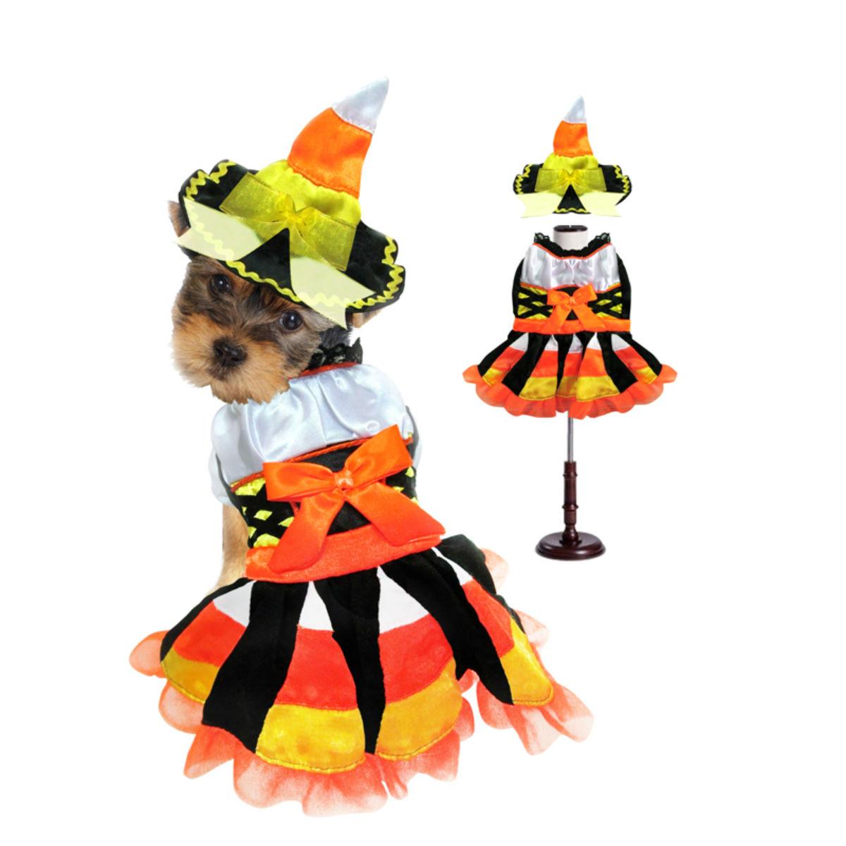 Puppe Love Witch Dog Halloween Costume - Candy Corn