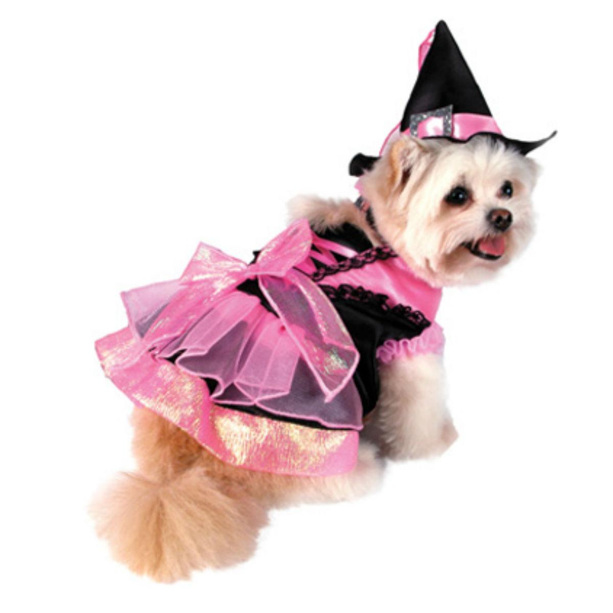 Puppe Love Witch Dog Halloween Costume - Shiny Pink