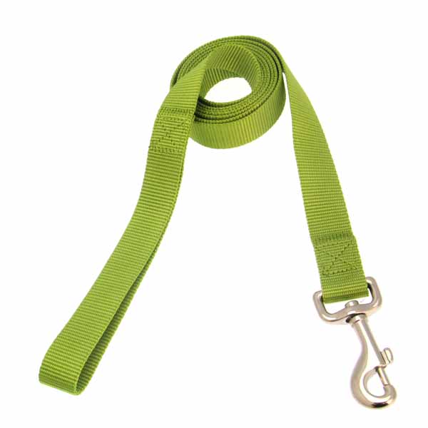 Zack and Zoey Nylon Dog Leash - Lime Green | BaxterBoo
