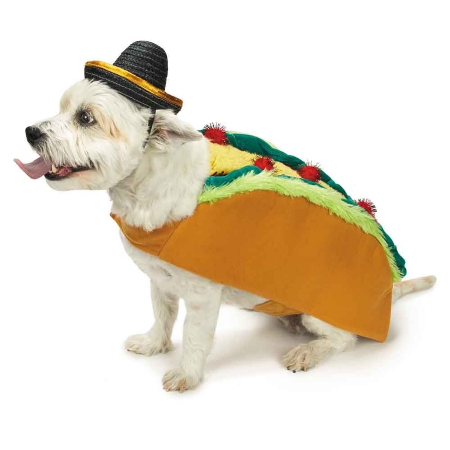 Casual Canine Tasty Taco & Sombrero Dog Costu... | BaxterBoo