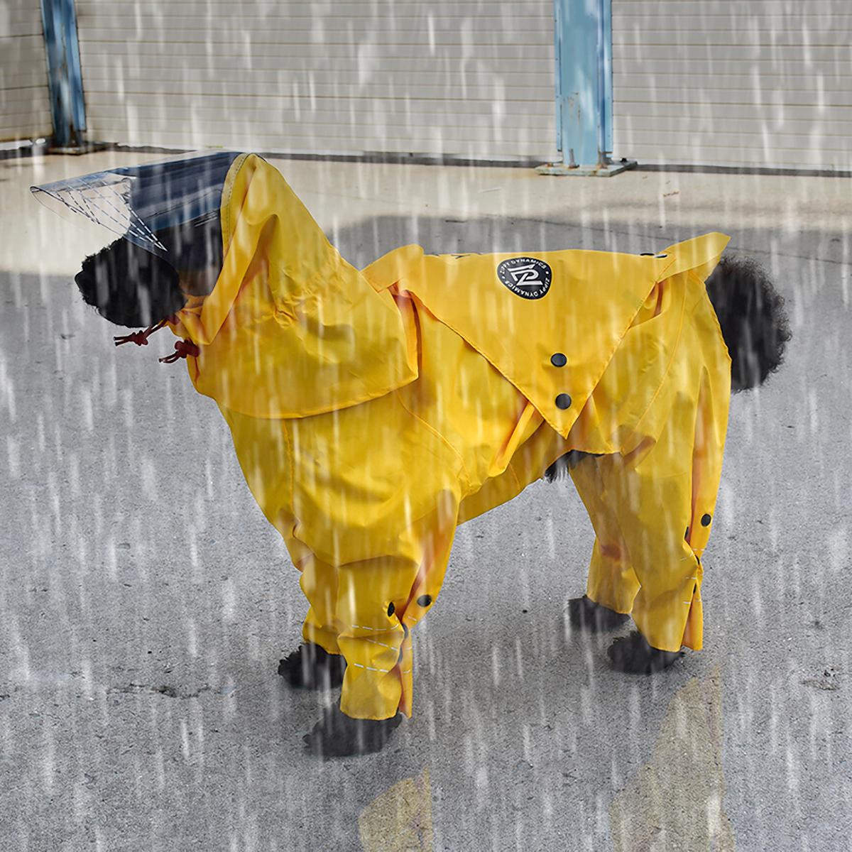 full rain suit for dogs