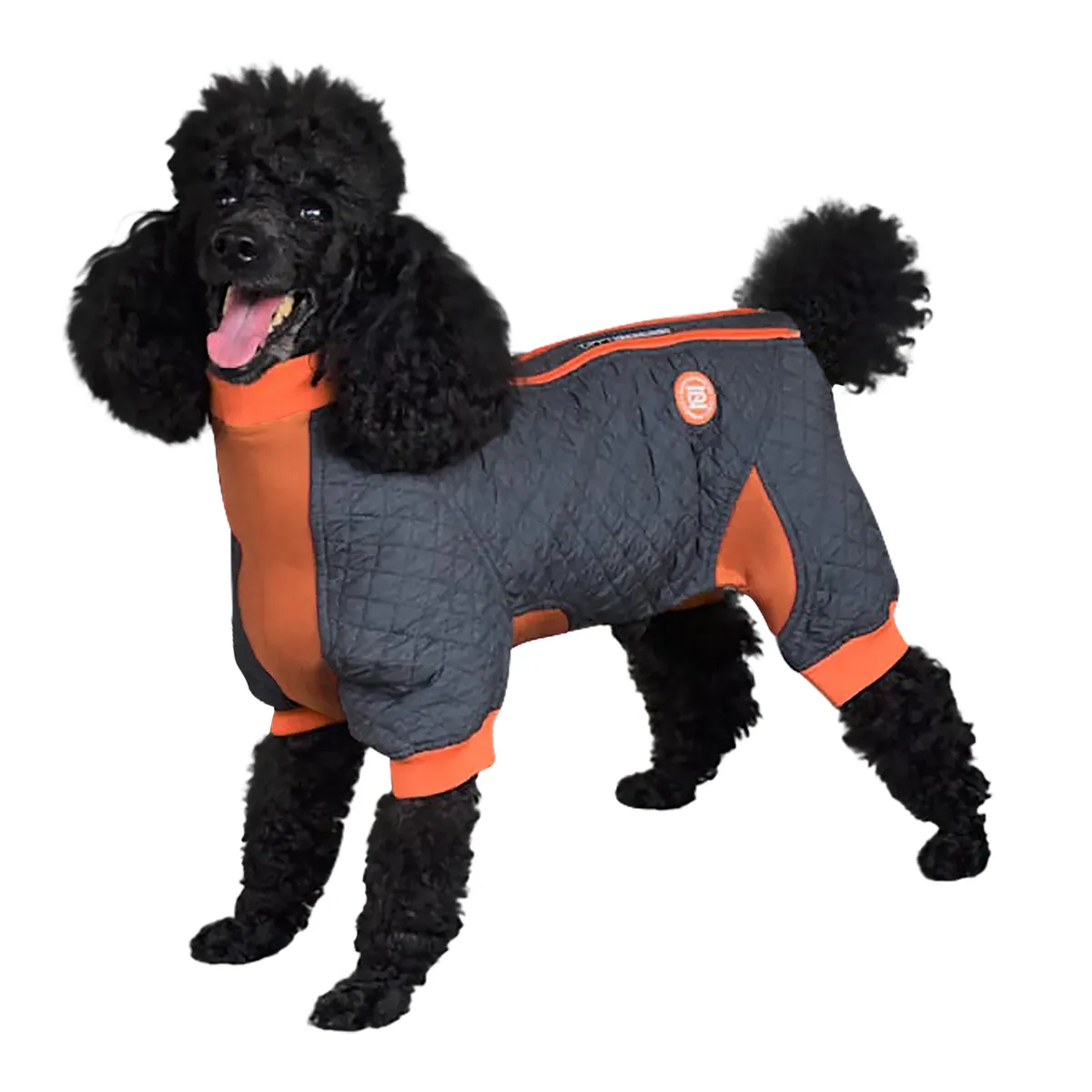 Zippy Dynamics Springy Dog Coat