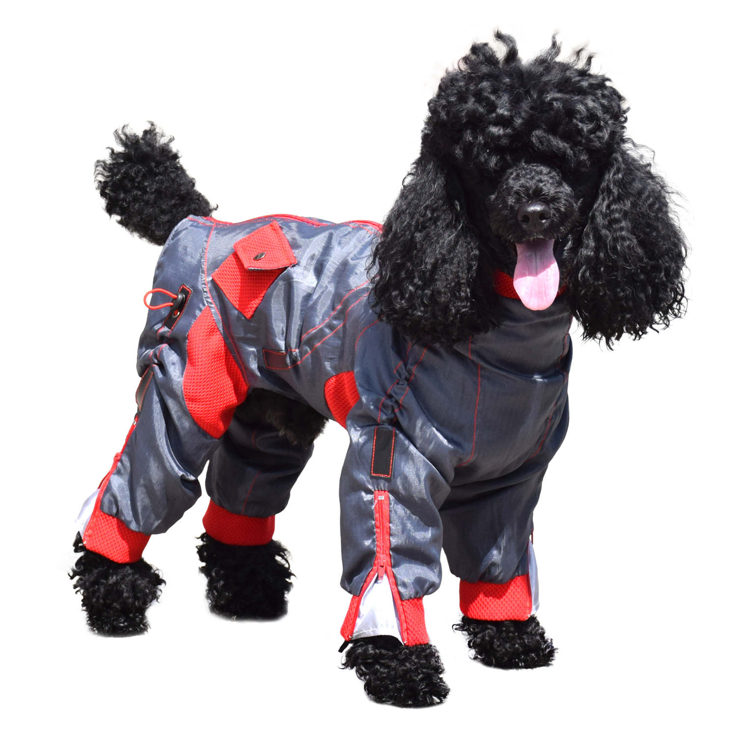 Zippy Dynamics Zippy Full-Body Dog Suit