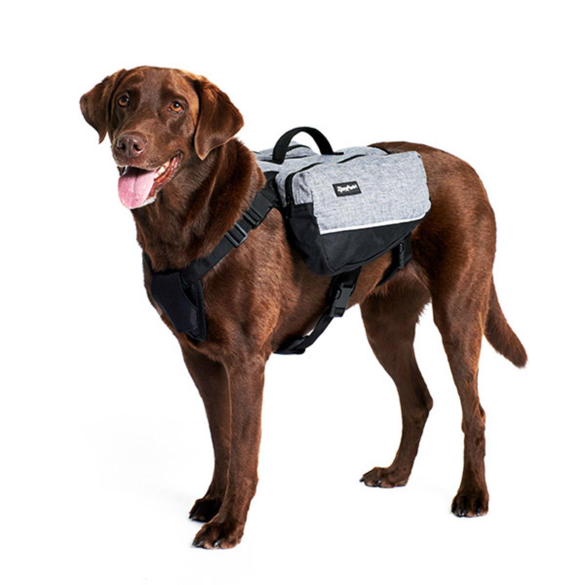 ZippyPaws Dog Backpack - Graphite | BaxterBoo