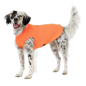 New Small Pet Cat Dog Sunscreen Shirt Clothes Summer Hooded Coat Transparent 6L 