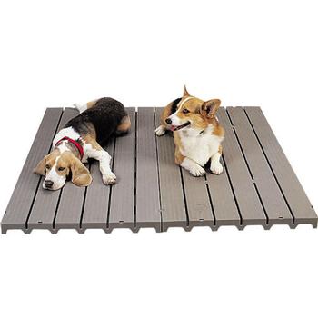 Dog Outdoor products
