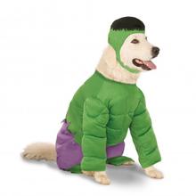 Superhero Dog Costumes | BaxterBoo