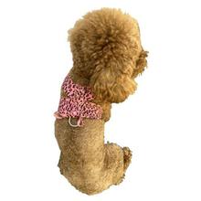 Pet Supplies, Dog Treats, & Dog Clothes at BaxterBoo.com