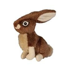 godog wildlife rabbit