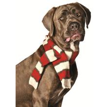 small dog scarf