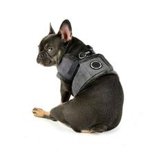 puppia jacket harness