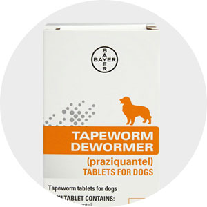 Dog Health - Dewormer