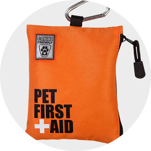 Dog Health - First Aid & Recovery