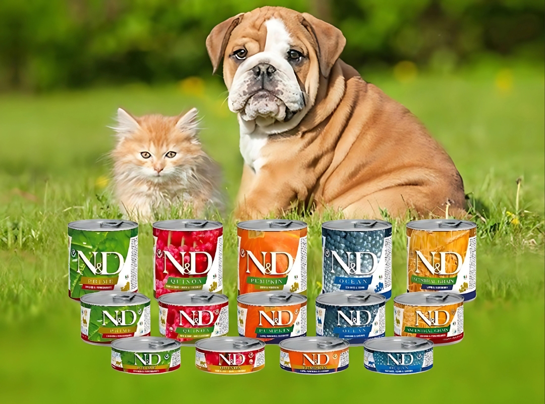 N&D Wet Food