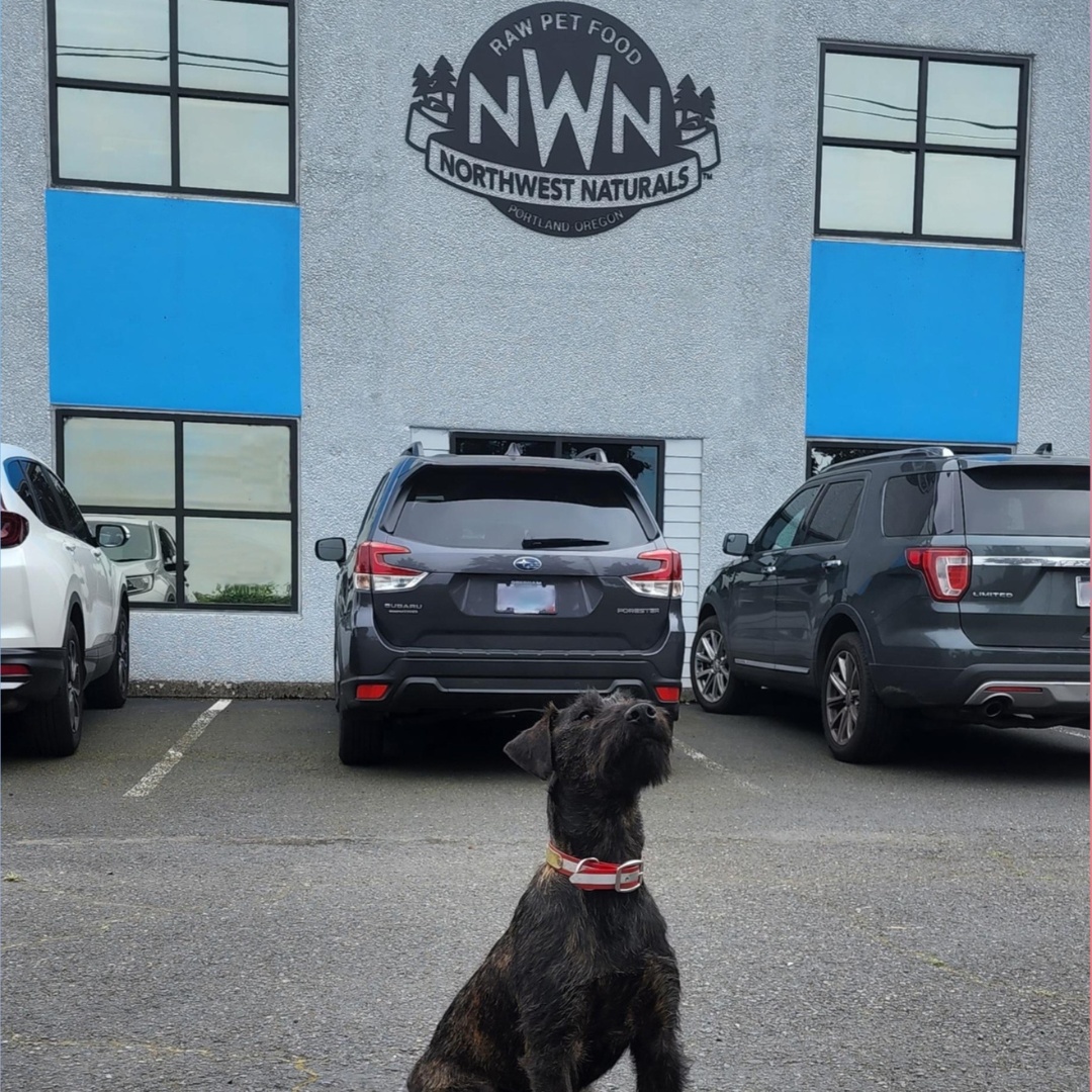 About Northwest Naturals Pet Food