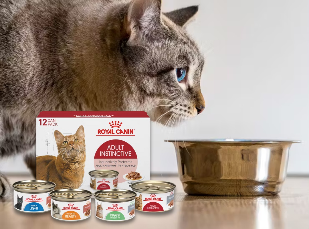 Royal Canin