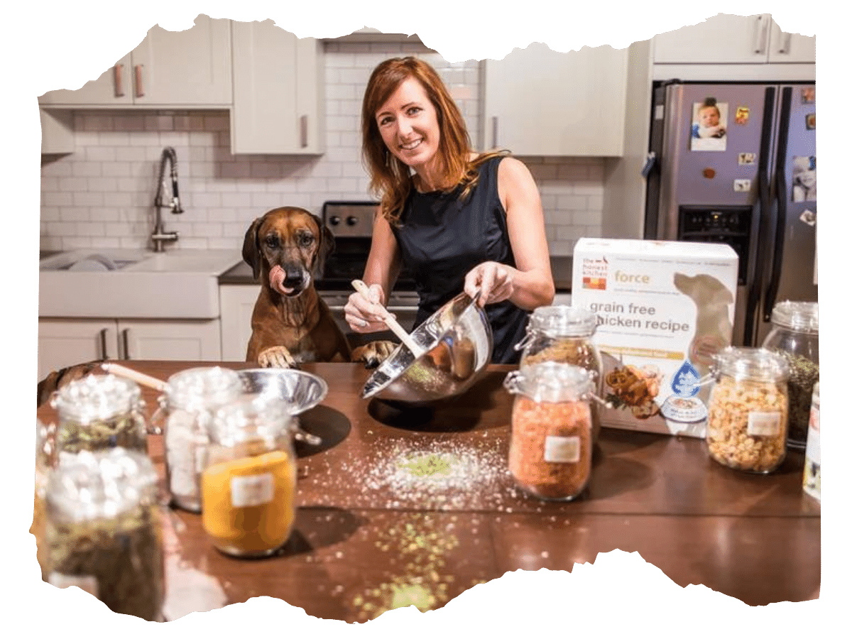 About The Honest Kitchen Pet Food